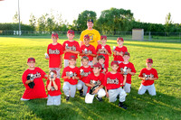 Youth baseball 2010